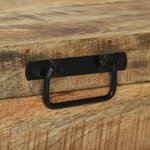 vidaXL Coffres de rangement 80x30x30cm en bois de manguier massif et métal