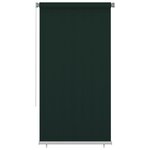 vidaXL Store roulant d'extérieur 120x230 cm Vert foncé PEHD