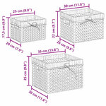 vidaXL Paniers de rangement 3 Pièces Naturel 35 x 30 x 25 cm