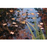 Ubbink Filet de couverture de bassin PE 3x6 m