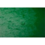 Trieur Agrafé Avec Élastiques Intérieur Noir 12 Compartiments - A4 - Vert - X 10 - Exacompta