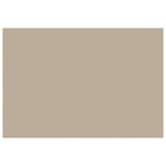 vidaXL Toile de rechange pour auvent Beige 400 × 350 cm Polyester
