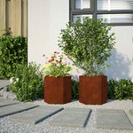 vidaXL Jardinières 2 Pièces hexagone 46x40x45 cm acier patinable