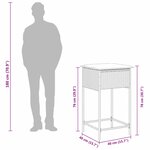 vidaXL Ensemble de bar de jardin 5 Pièces avec coussins noir poly rotin