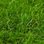 vidaXL Gazon artificiel 1x10 m/40 mm Vert