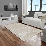 Tapis d'intérieur NIL 120 x 180 cm - Beige