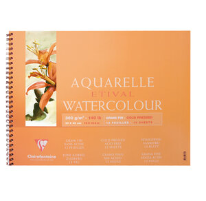 Album spiralé Etival grain fin 30x40 12 feuilles 300g CLAIREFONTAINE
