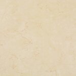 vidaXL Dalles de plancher PVC autoadhésif 5 11 m² beige