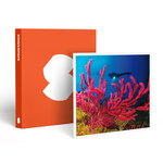 SMARTBOX - Coffret Cadeau Baptême de plongée passionnant de 3h en duo au large de Fréjus - Sport & Aventure