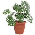 vidaXL Pot à fleurs rond 24 pc Rouge brique Ø 34 x 28 cm Plastique