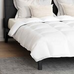 vidaXL Ensemble de Duvet avec oreiller 3 Pièces Blanc Plume de canard