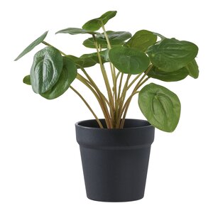 Plante artificielle Pilea plante à monnaie chinoise verte 28 cm