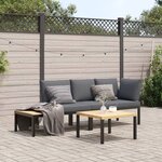 vidaXL Salon de jardin 3 Pièces avec coussins noir aluminium