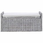 vidaXL Banc de rangement Blanchiment 110 x 40 x 50 cm Rotin