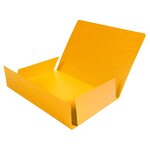 Chemise Simple Sans Élastique Avec 3 Rabats Carte Lustrée 400gm2 - A4 - Jaune - X 25 - Exacompta