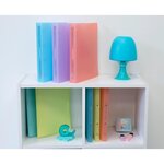 Classeur 4 Anneaux 30 Mm Polypropylène Chromaline Pastel - A4 Maxi - Corail - X 15 - Exacompta