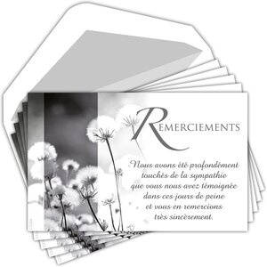 Lot 5 cartes remerciements condoléances +5 enveloppes blanches format 9x14cm