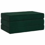 vidaXL Canapé-lit pliable 100 x 67 x 45 cm Vert foncé