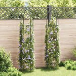 vidaXL Arche de jardin en forme de tour 2 Pièces