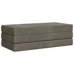vidaXL Canapé-lit pliable 120 x 67 x 45 cm Gris clair