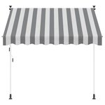 vidaXL Auvent rétractable manuel Anthracite et blanc 250 cm