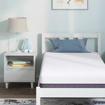 vidaXL Matelas Blanc et Gris 80 x 160 cm Mousse à Mémoire