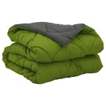 vidaXL Duvet d'été simple Vert et Anthracite 200 x 135 cm Microfibre