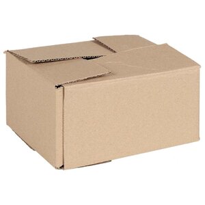 vidaXL Boîte Pliable 50 Pièces Naturel 20 x 15 x 10 cm Carton
