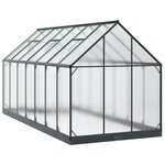 vidaXL Serre de jardin avec porte Anthracite 183 5 x 423 5 x 207 cm