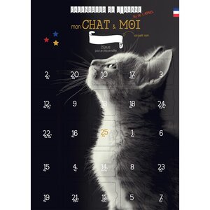 Calendrier mon chat et moi 25 jours