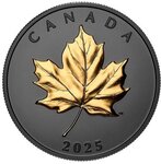 Pièce de monnaie en Argent 20 Dollars g 31.39 Millésime 2025 ELEGANT MAPLE