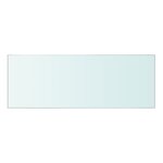 vidaXL Panneau pour étagère Verre transparent 40 x 12 cm