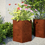 vidaXL Jardinières 2 Pièces hexagone 46x40x45 cm acier patinable
