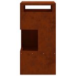 vidaXL Braise Marron 50 x 50 x 100 cm Acier