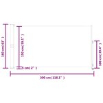 vidaXL Auvent latéral rétractable de patio 160 x 300 cm Gris