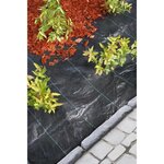 Nature Bâche de sol de contrôle des mauvaises herbes 2x10 m Noir