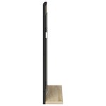 vidaXL Miroir de salle de bain Noir 50 x 12 x 60 cm Bois d'ingénierie