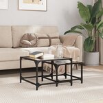 vidaXL Tables basses gigognes 2 Pièces dessus en verre noir acier