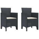 vidaXL Chaises de Jardin 2 Pièces Anthracite 53 x 49 x 85 cm