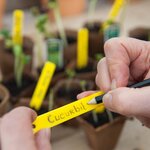 Nature Kit de propagateur 200 Pièces