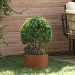 vidaXL Pots de jardin 5 Pièces Marron 30 x 30 x 20 cm Acier cuivré