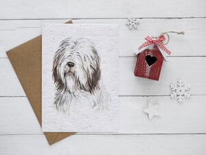 Carte à planter nos amis les chiens