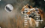 Pièce de monnaie en Platine 25 Dollars g 0.062 (1/500 oz) Millésime 2026 TIGER 1/500 (PRÉCOMMANDE)