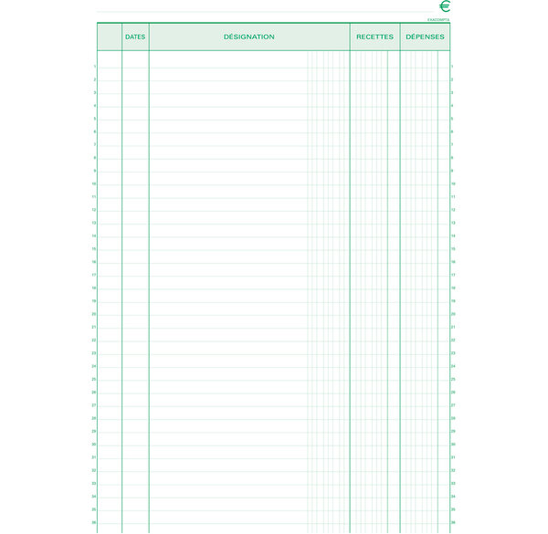 Manifold 'Recettes-Dépenses' 297 x 210 mm 50 feuillets dupli EXACOMPTA