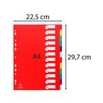 EXACOMPTA Intercalaire en polypropylène, format A4, 12 positions assortis pastel