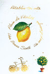 69-3147 Carte Rétablissement Rétablis-toi vite Citron Vitamines Vitalité énergie Santé Peinture Aquarelle -Finitions Dorure Or Doré + Gaufrage en Relief +1 Enveloppe Format 12x17cm -Fabriqué en Europe