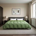 vidaXL Duvet complet toute l'année Vert 200 x 220 cm Microfibre