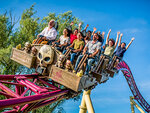 SMARTBOX - Coffret Cadeau Journée amusante : 1 entrée Grand Visiteur pour le parc Walibi Rhône-Alpes -  Multi-thèmes