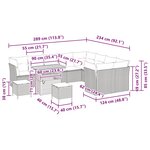vidaXL Ensemble de canapé de jardin avec coussin 12 Pièces beige et crème