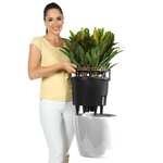 LECHUZA Jardinière CLASSICO LS 43 ALL-IN-ONE blanc brillant 16080